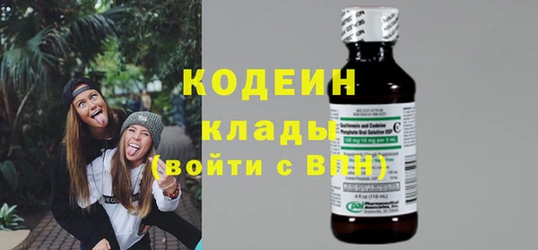 шишки Богданович