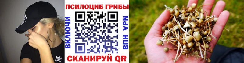 MEGA сайт  Вуктыл  Псилоцибиновые грибы ЛСД 